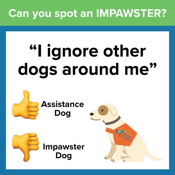 Can you spot an Impawster? "I ignore other dogs around me" Assistance dogs with a thumbs up, impawster dog with a thumbs down.