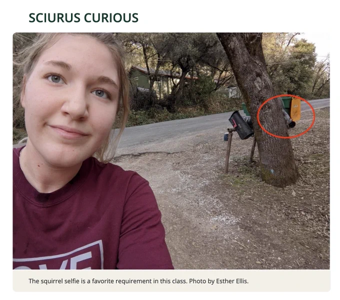 Student monitoring squirrel behavior as part an ALE