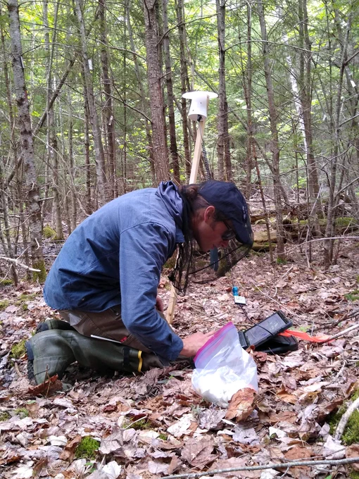 A student wearing a head net and sunglasses kneels in front of a tablet resting on top of leaf litter in the forest. In the background are the stems of conifer trees.