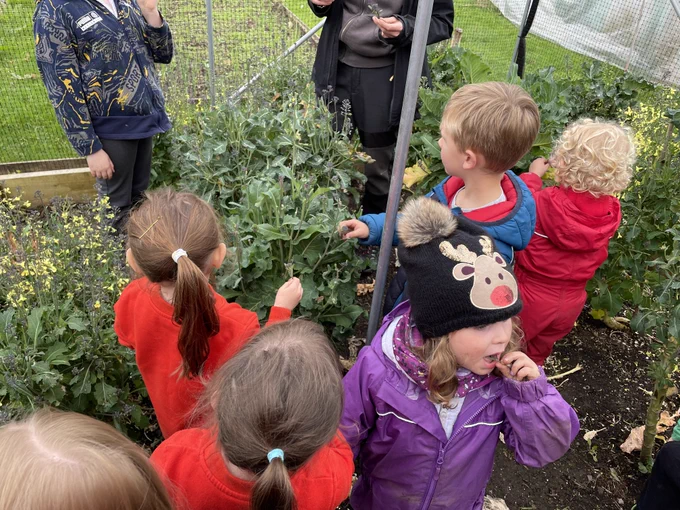 Squirrel Scouts tasting purple broccoli