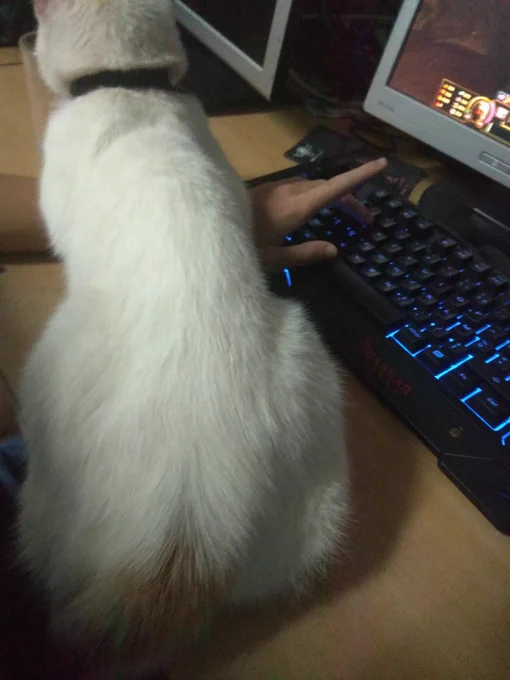 Là elle m'empêche de jouer un peu mais trkl