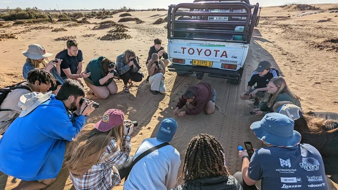 Students gathered around to study a web-footed palmetto gecko during the education abroad program "Wildlife Conservation in Namibia". 