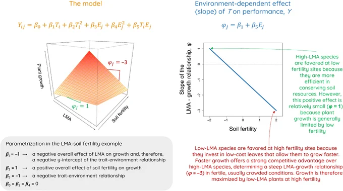 Example of the three-dimensional approach to trait–environment relationships. Generically, plant performance is modeled as a function of the interaction between trait and environmental axes. Our model also includes quadratic terms for both T and E, set to zero here for simplicity. 