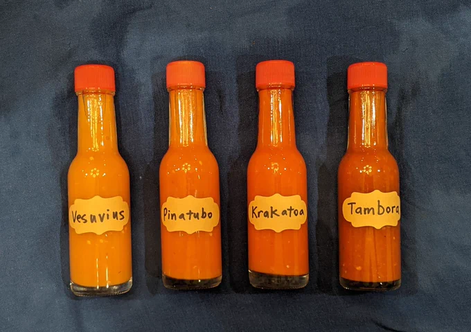 Four bottles of hot sauces, labeled: Vesuvius, Pinatubo, Krakatoa, Tambora.