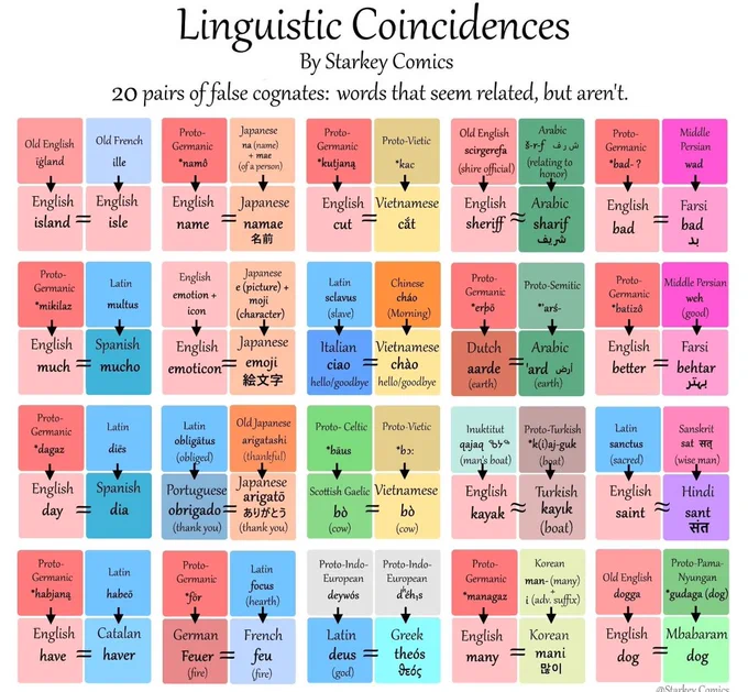 List of 20 pairs of false cognates, words that look like they're related but aren't. By Starkey comics