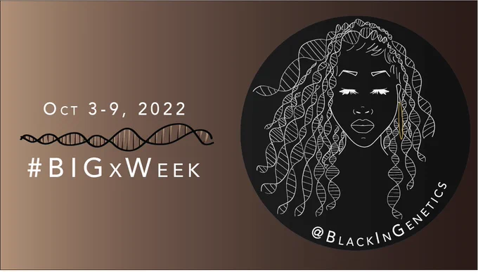 This is an infographic announcing Black in Genetics Week 2022. The text on the left reads the date of Black in Genetics week, "October 3-9, 2022." Underneath that text is a double stranded DNA helix, drawn in black and shades of brown. Under the DNA helix is text that reads, "#BIGxWeek." On the right half of the infographic is the Black in genetics logo, which depicts a woman of African descent and the curls of her hair are DNA helices. She is looking down and has a gold earring visible. This logo is drawn in white inside a black circle. Beneath the logo is the twitter handle, @blackingenetics.