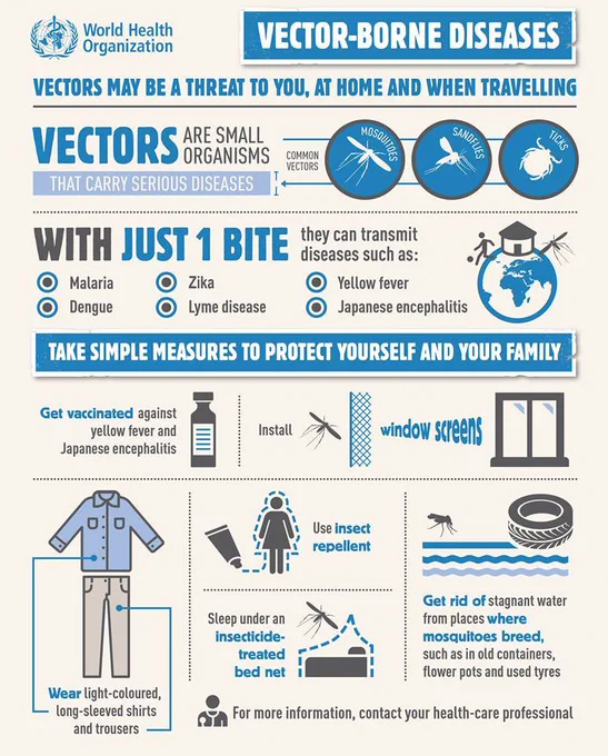 Infographic of measures that you can take to protect yourself and your family from vector-borne diseases like malaria and dengue