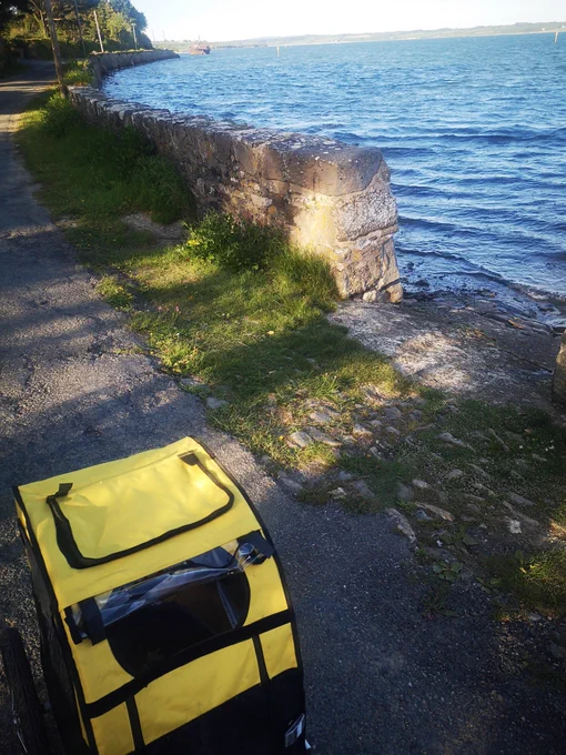 Yellow pet bike trailer full of potted plants cycling past full tide at Bannow Bay. 