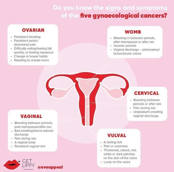 on a pink background there is a red illustration of the gynae symptom, with five bubbles coming off it, each pointing to an area that can get cancer. In these bubbles are the symptoms of each of the five gynae cancers. There is a title on the top of the image that says 'Do you know the symptoms of the five gynae cancers' You can find all of the symptoms information for each of these cancers on the link in our bio.