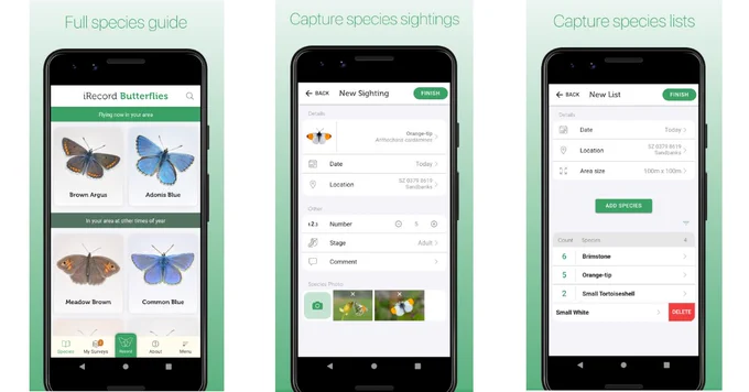 3 mobile phone screenshots showing different butterfly images and a form to record sightings