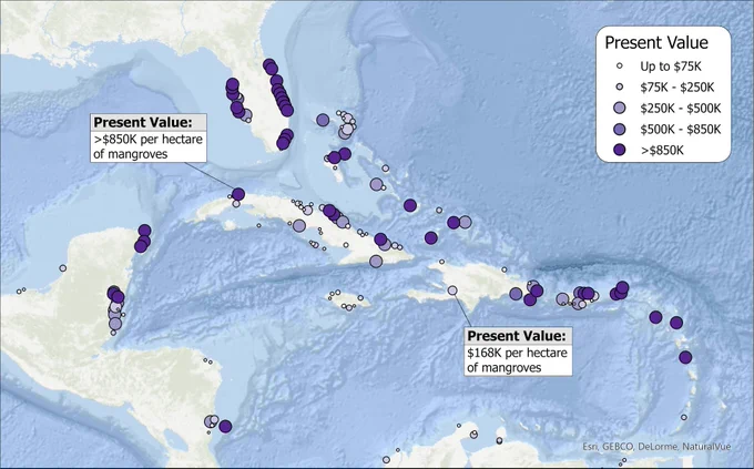 Present value of mangrove for flood reduction per ha. Values assume that habitats a 30-year infrastructure asset @4% discount rate. These values represent the break-even point for restoration.  For example, near Port au Prince, Haiti mangrove restoration projects that cost less than $168,000 per hectare would have positive return on investment. 