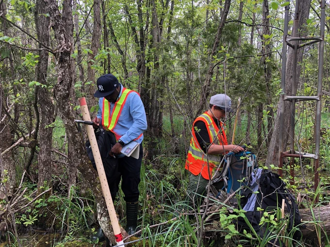 Two researchers with a water table well in a swamp.
