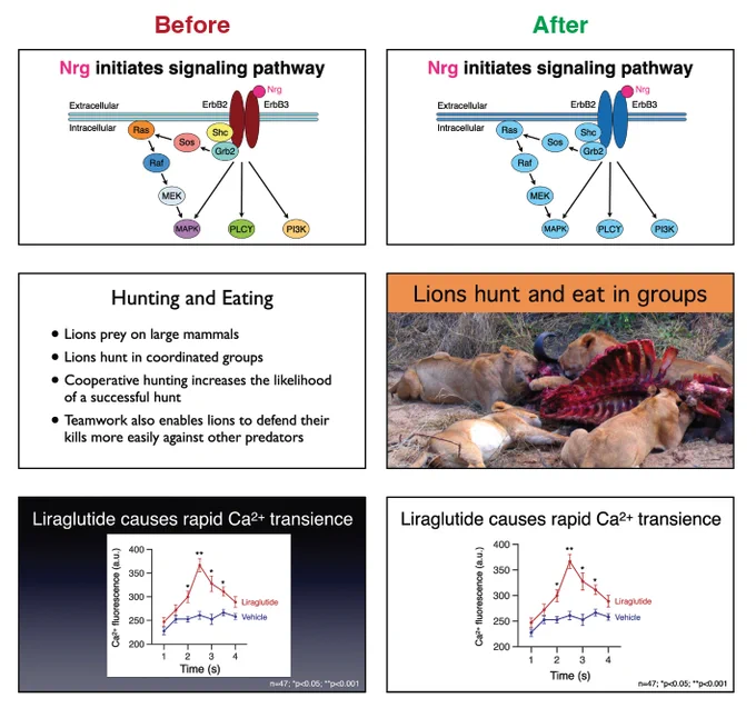 "Before and After" examples of slide design
