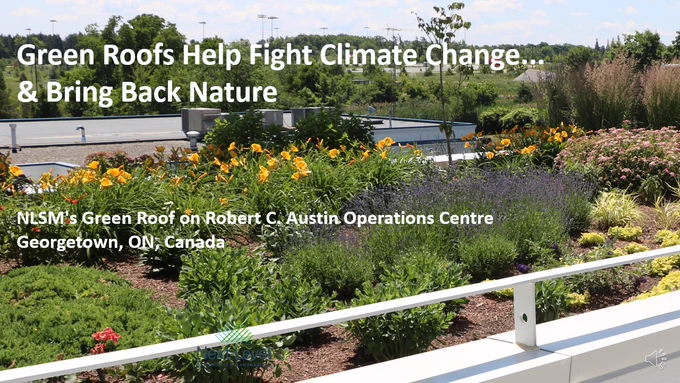 Intensive greenroof on Halton Hill's Robert C. Austin Operations Centre in Georgetown, ON, Canada offers many benefits including biodiversity and stormwater management.