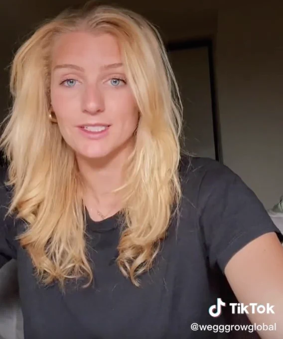 wegg® TikTok, 6/3/22, highlighting #wegginar with John Yunker, co-founder of Byte Level Research, discussing #webglobalization
