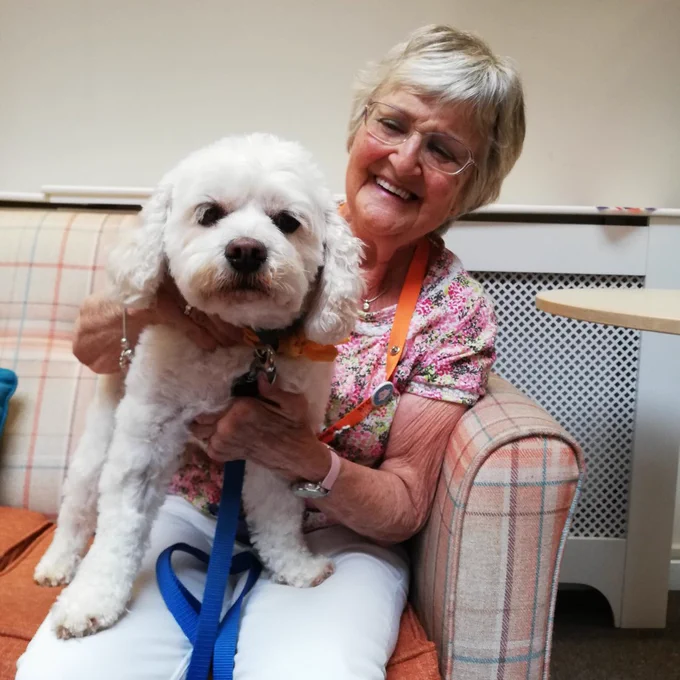Bertie, a fluffy white dog, sat on Stella's lap. Bertie looks directly at the camera whilst Stella looks and smiles at Bertie.