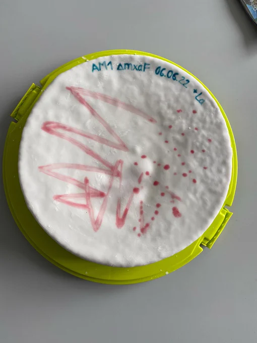 Cake with white icing mimicking a petri dish with red coloring indicating bacterial colonies 