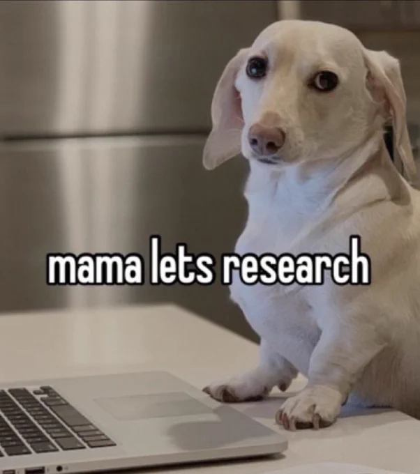 “homophobic” dog sits at a laptop. text overlay reads mama lets research