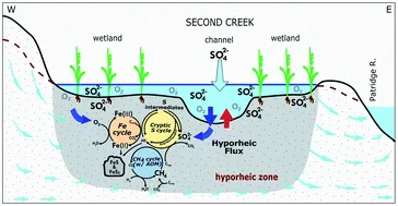 A cross section through a wetland and stream channel showing the coupled biogeochemical cycling of Fe, S, and methane.  Thin arrows indicate direction of water flow and thick arrows represent direction of analyte fluxes (such as oxygen and sulfate).