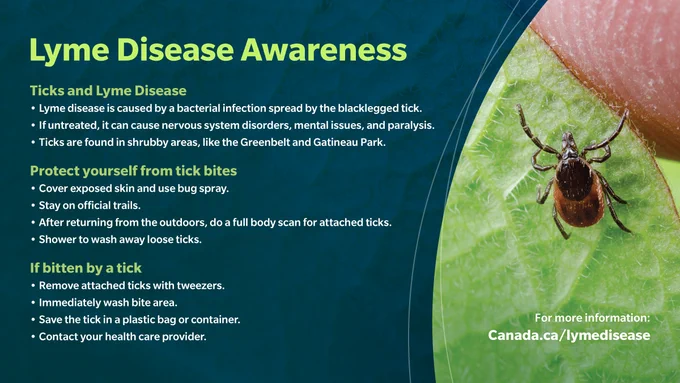 Lyme disease awareness: Ticks and Lyme disease - lyme disease is caused by a bacterial infection spread by the blacklegged tick. It untreated, it can cause nervous system disorders, mental issues, and paralysis. Ticks are found in shrubby areas, like the Greenbelt and Gatineau Park. For more info, canada.ca/lymedisease