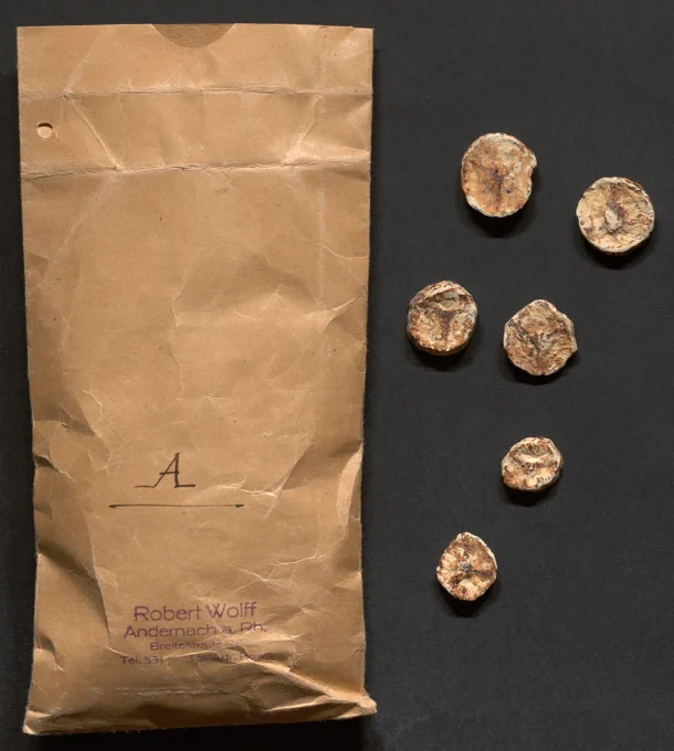 Sample of dehydrated bananas sent in 1920 to the League of Nations by a German company to have information about their classification in the project of customs nomenclature unification.