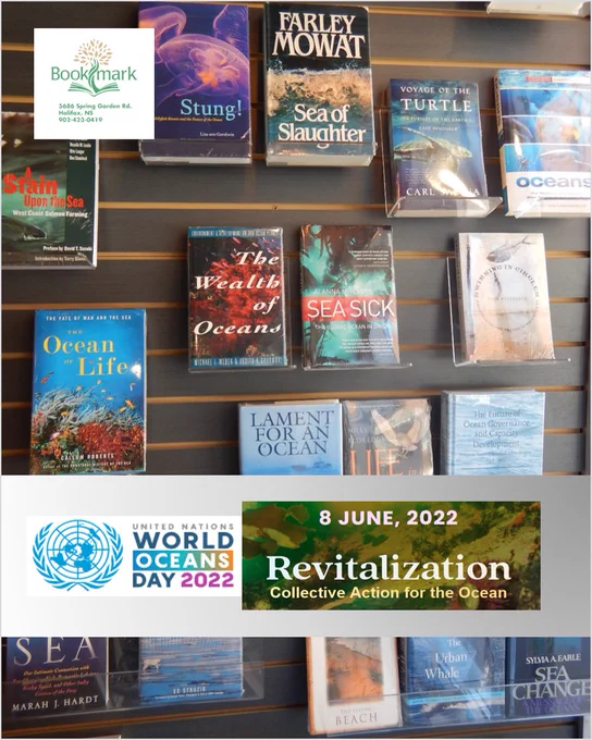 Photograph of a display of books for World Oceans Day, 8 June 2022.