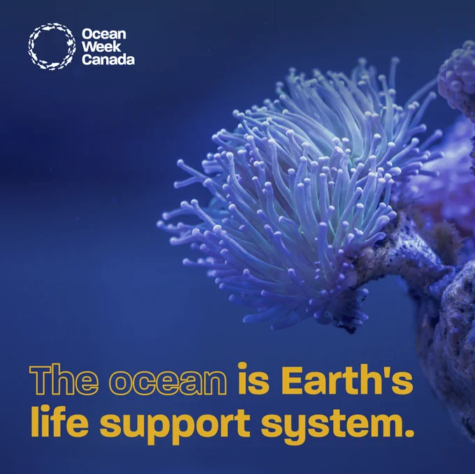 Ocean Week Canada poster, with text over an image of a purple anemone, with tentacles reaching upward in all directions in clear water. Text: The ocean is Earth's life support system.