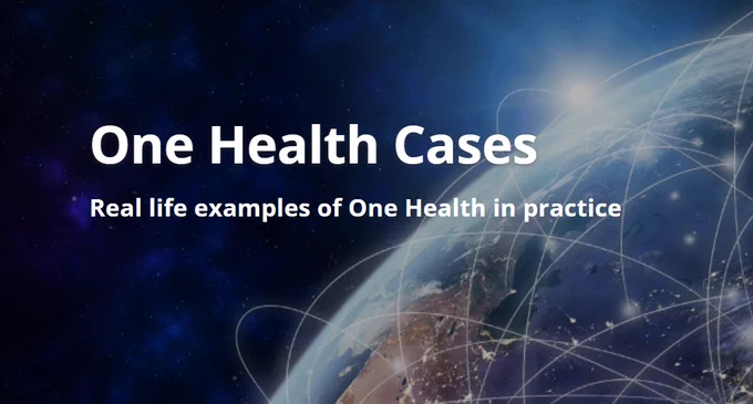 A graphic with the text "One Health Cases | Real life examples of One Health in practice". In the background is a visual depicting the Middle East and the curvature of the earth from space with lines and dots connecting random locations.