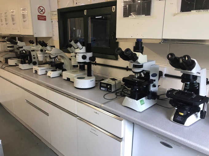 Microscope Servicing 