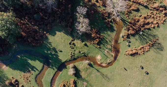 Drone view looking down on river winding through trees and fields