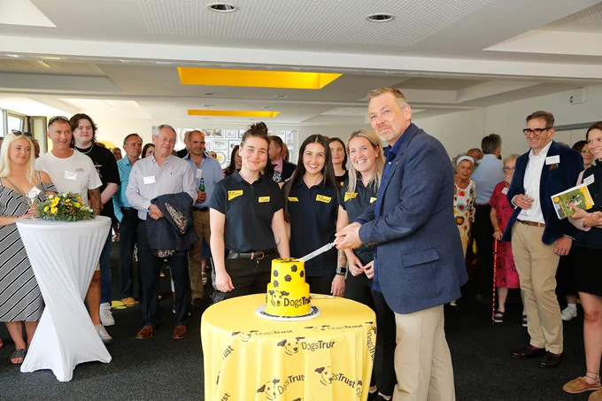 A yellow cake is being cut by Owen Sharp. 