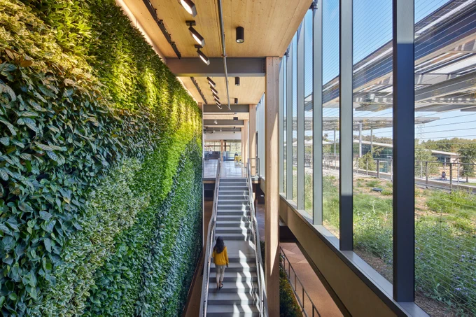 The green wall at Microsoft Silicon Valley 
