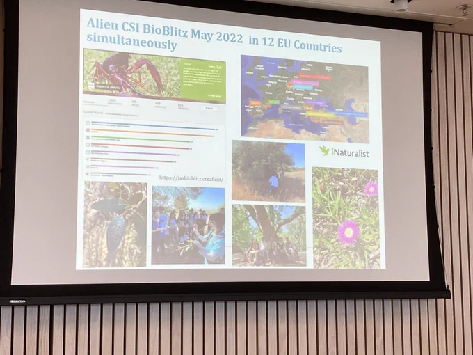 Pictures of bioblitz