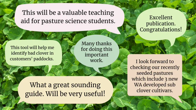 A graphic of speech bubbles featuring positive feedback received on the new ute guide. 