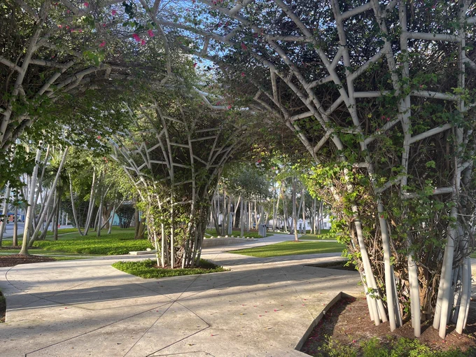 Park with trees in cages
