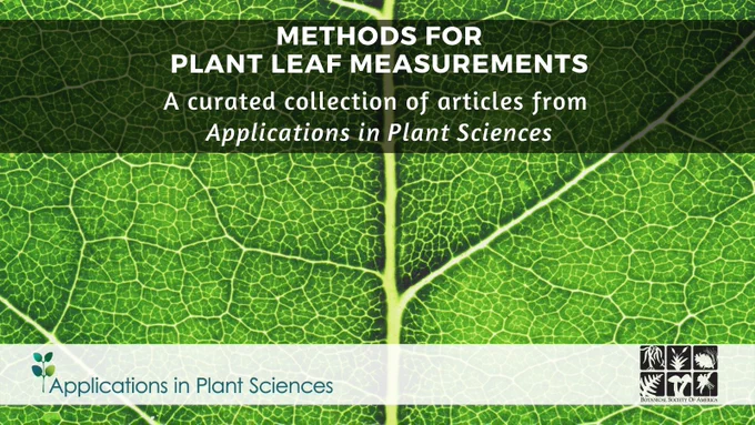 The graphic shows a close up of a leaf, showing the primary and secondary venation. The text reads: “Methods for Plant Leaf Measurements: A curated collection of articles from Applications in Plant Sciences.” The Applications in Plant Sciences and Botanical Society of America logos are at the bottom of the graphic.