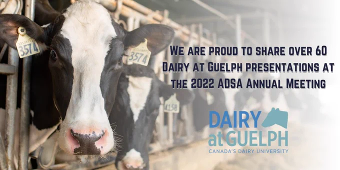 Holstein cow in the foreground with text saying "We are proud to share over 60 Dairy at Guelph presentations at the 2022 ADSA Annual Meeting"