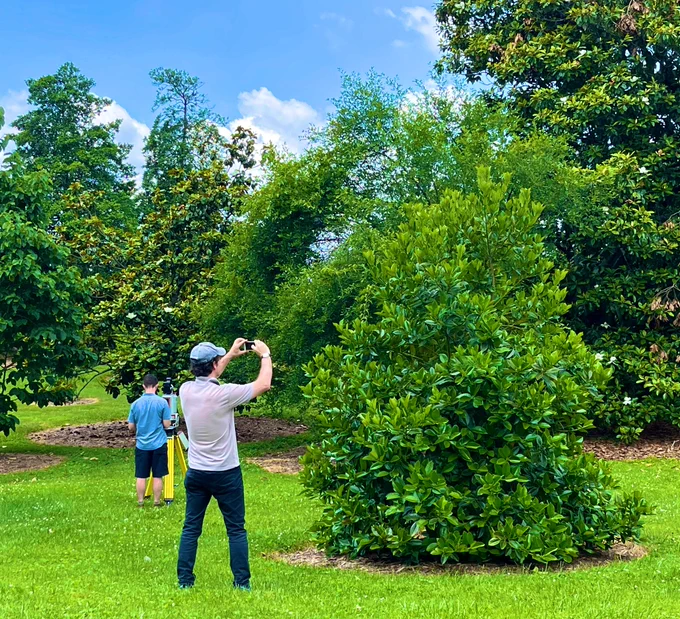 Laser scanning and pictures of leaves help us measure the angle of leaves in a tree canopy.