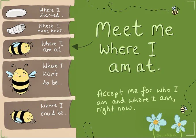 Drawing of bees at different stages of their life cycle, with an arrow pointing towards “Where I am at right now”, with writing “Meet me where I am at”, highlighting one of the most important aspects of Peer Support.