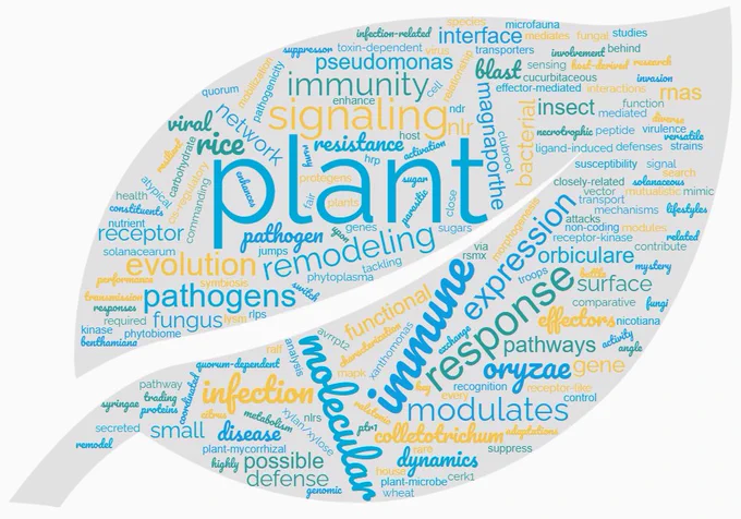 A word cloud shaped like a leaf based on talk titles from the US-Japan Seminar on Plant Pathology. 