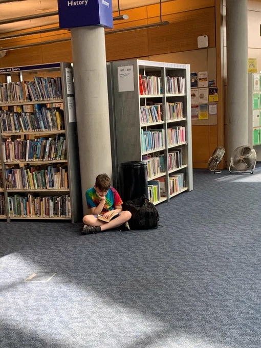 A Year 7 student sits cross-legged at the base of a pillar which bears the sign "History" at the top, reading a book with his chin resting in his palm. He is flanked by bookshelves, and bright sunlight shines on the carpet nearby.