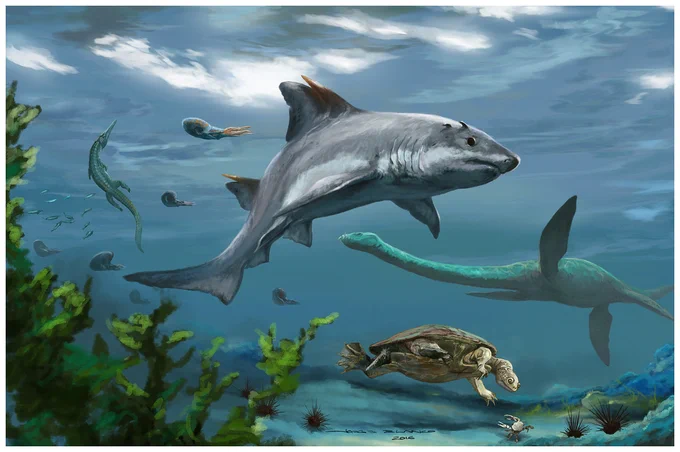 Illustration by Jorge Blanco of the fossil shark Strophodus rebecae as it might have appeared in life, along with other organisms from the same environment, including a side-necked turtle, ammonites, a crab, and a plesiosaur.