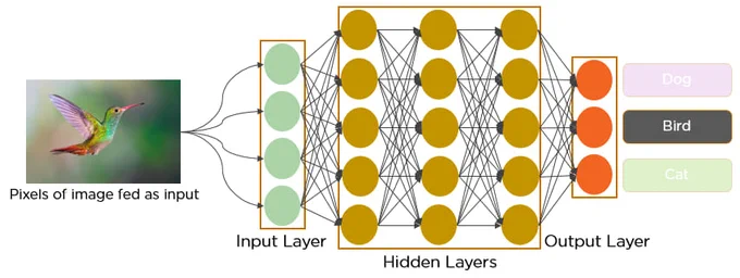 The convolutional neural network model consists of the input layer, hidden layers, and output layer