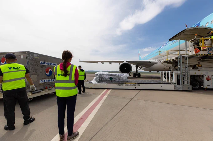 Photograph of three airport employees in Mongolia offloading cargo of vaccines from an airplane on a tarmac. 