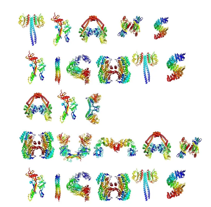 An image of protein structures, where each structure of a protein is shaped like a letter from the English alphabet. The structures spell out "Trans Rights are human rights". Each letter is also rainbow-colored, going from red->blue in protein sequence.