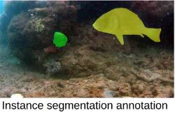 This research was funded by an Australian Research Training Program (RTP) Scholarship