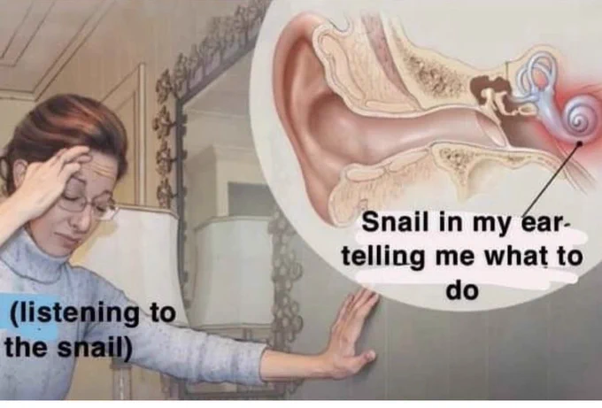 someone leaning headachely against a mirror, and an inner ear diagram. the caption says '(listening to the snail)' and, annotated to the diagram 'snail in my ear telling me what to do'. There's, just that thing in the ear hat looks like a snail.