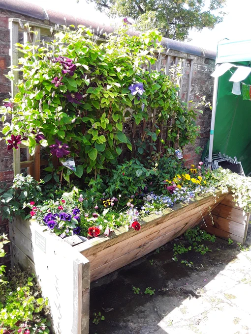 Secret garden full of flowers