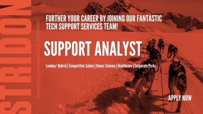 Support Analyst Role at Stridon