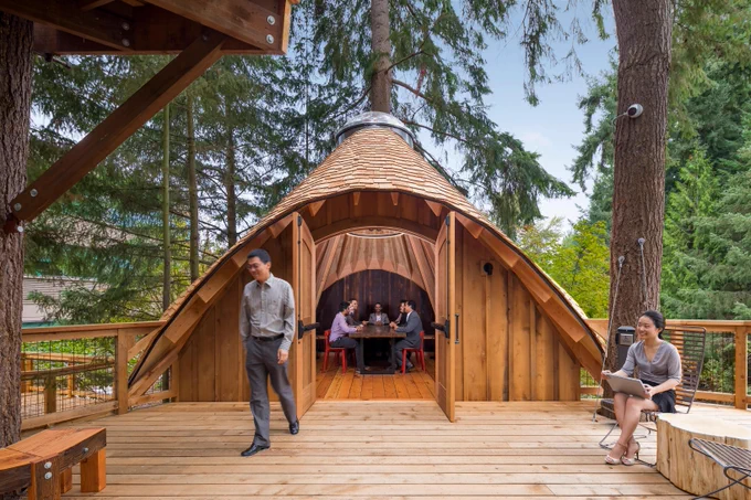 Treehouses at Microsoft Puget Sound 

